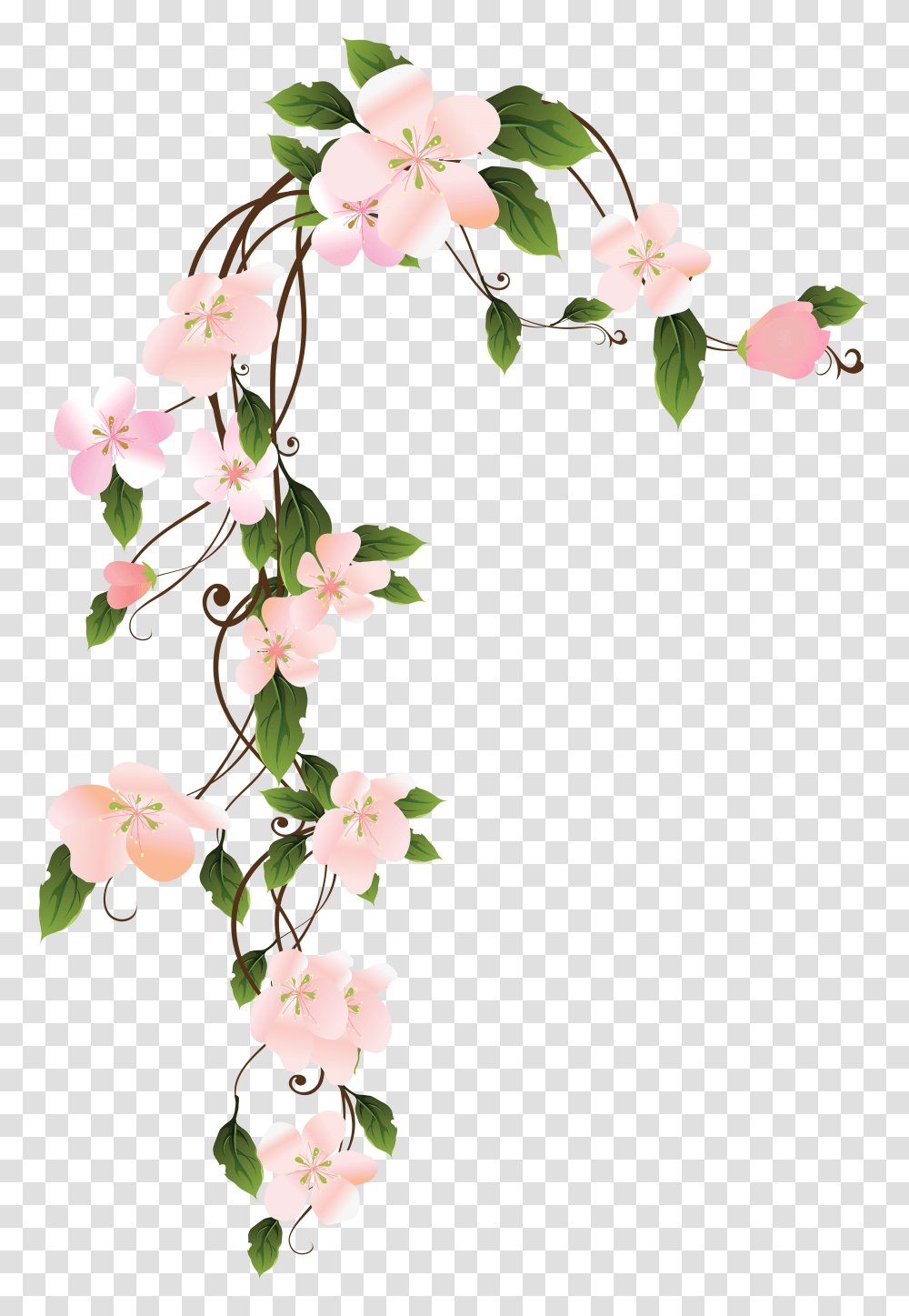 Hanging Floraw Decoration Clip Art Gallery, Plant, Floral Design, Pattern Transparent Png