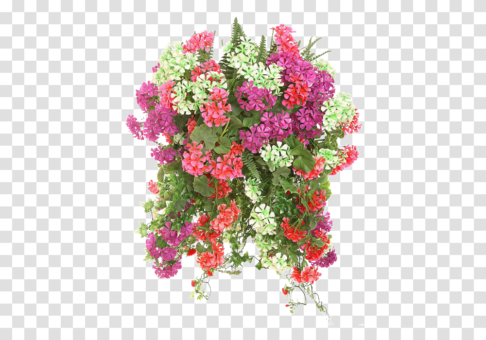Hanging Flower Baskets, Plant, Geranium, Blossom, Flower Arrangement Transparent Png