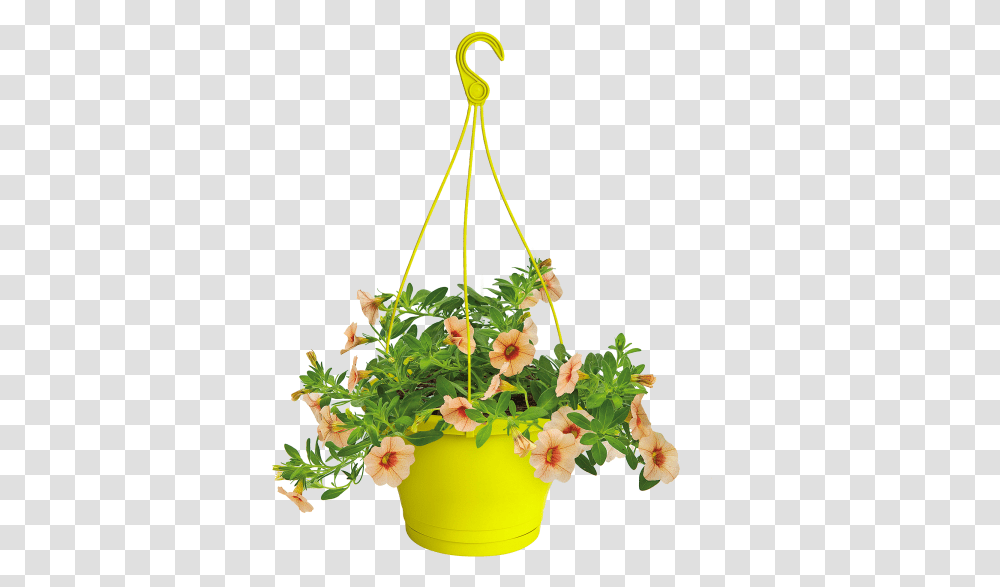Hanging Flower Pot Clipart, Vase, Jar, Pottery, Ikebana Transparent Png