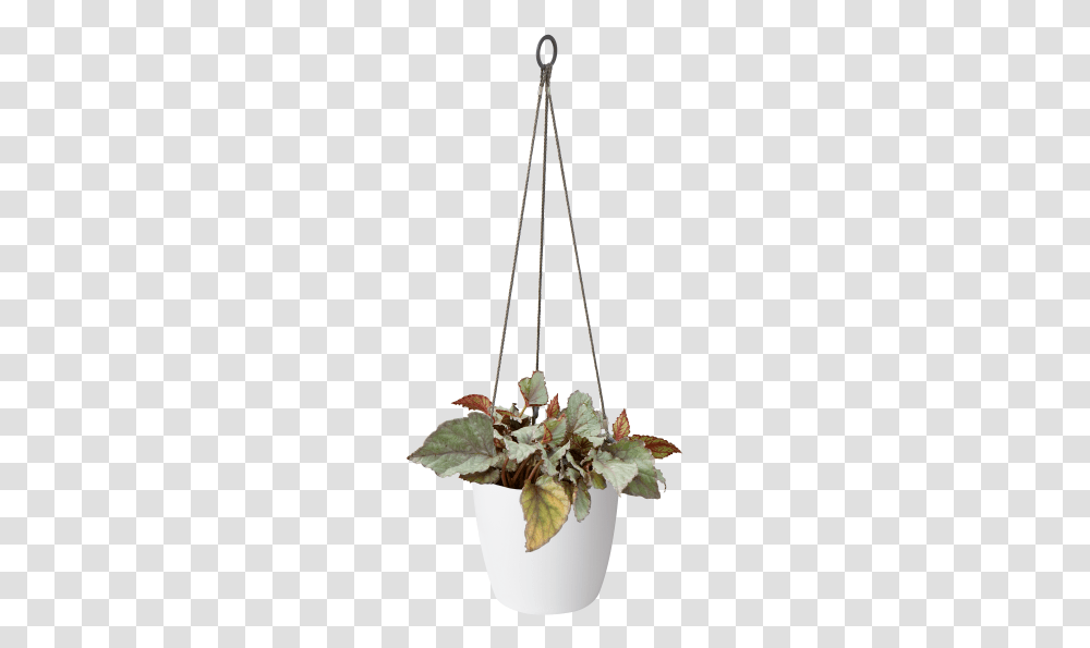 Hanging Flower Pot, Plant, Tripod, Ikebana Transparent Png