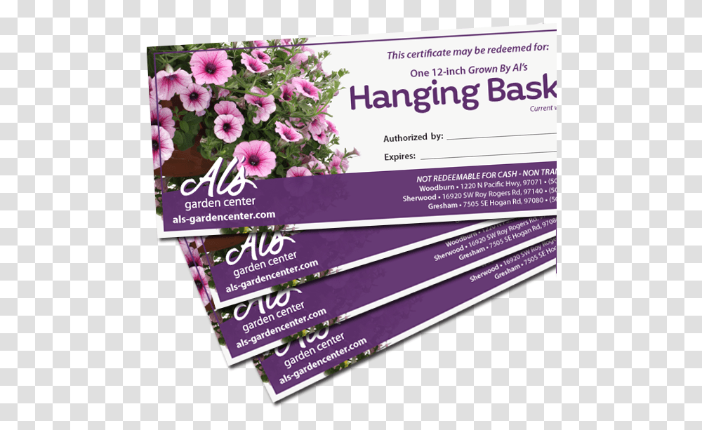 Hanging Flowers, Flyer, Poster, Paper, Advertisement Transparent Png