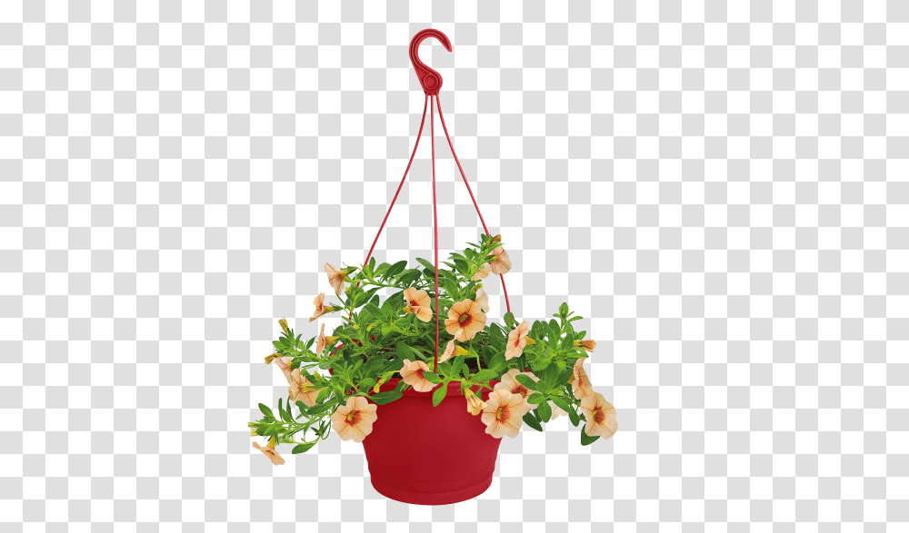 Hanging Flowers, Ikebana, Vase, Ornament Transparent Png