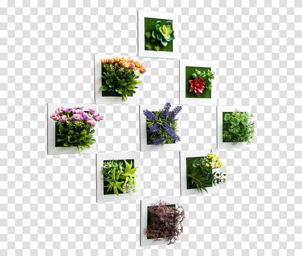 Hanging Flowers, Plant, Collage, Poster, Advertisement Transparent Png
