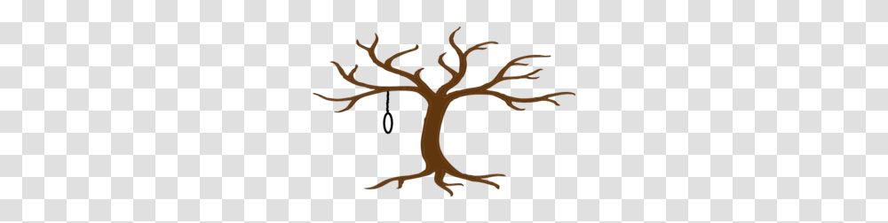 Hanging Images Icon Cliparts, Plant, Antler, Tree, Poster Transparent Png