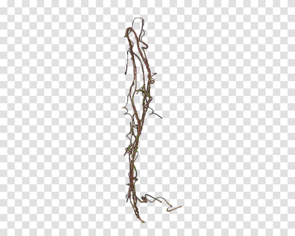 Hanging Jungle Vines Image, Plant, Root, Leaf, Doodle Transparent Png