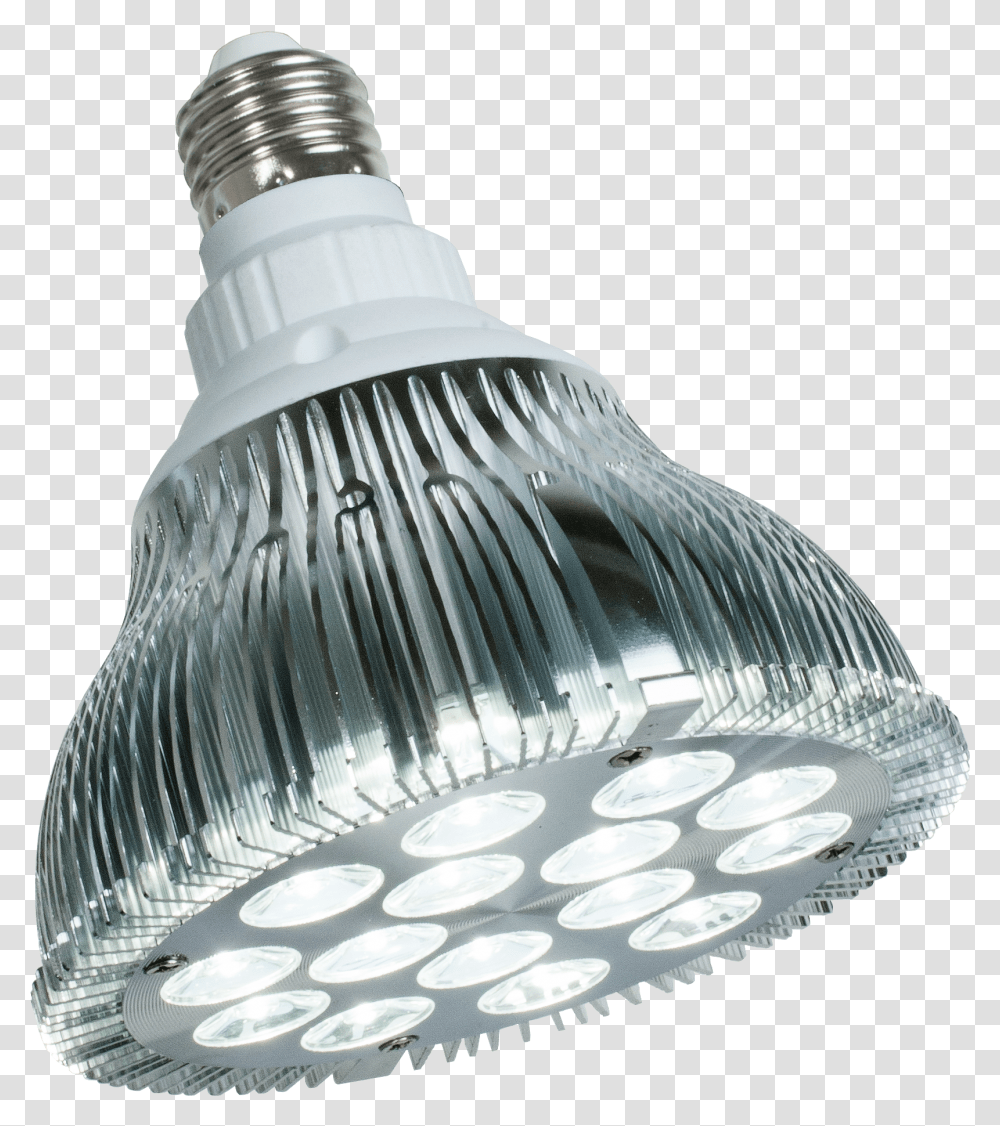 Hanging Light Bulb White Led Grow Light, Lighting, Lamp Transparent Png