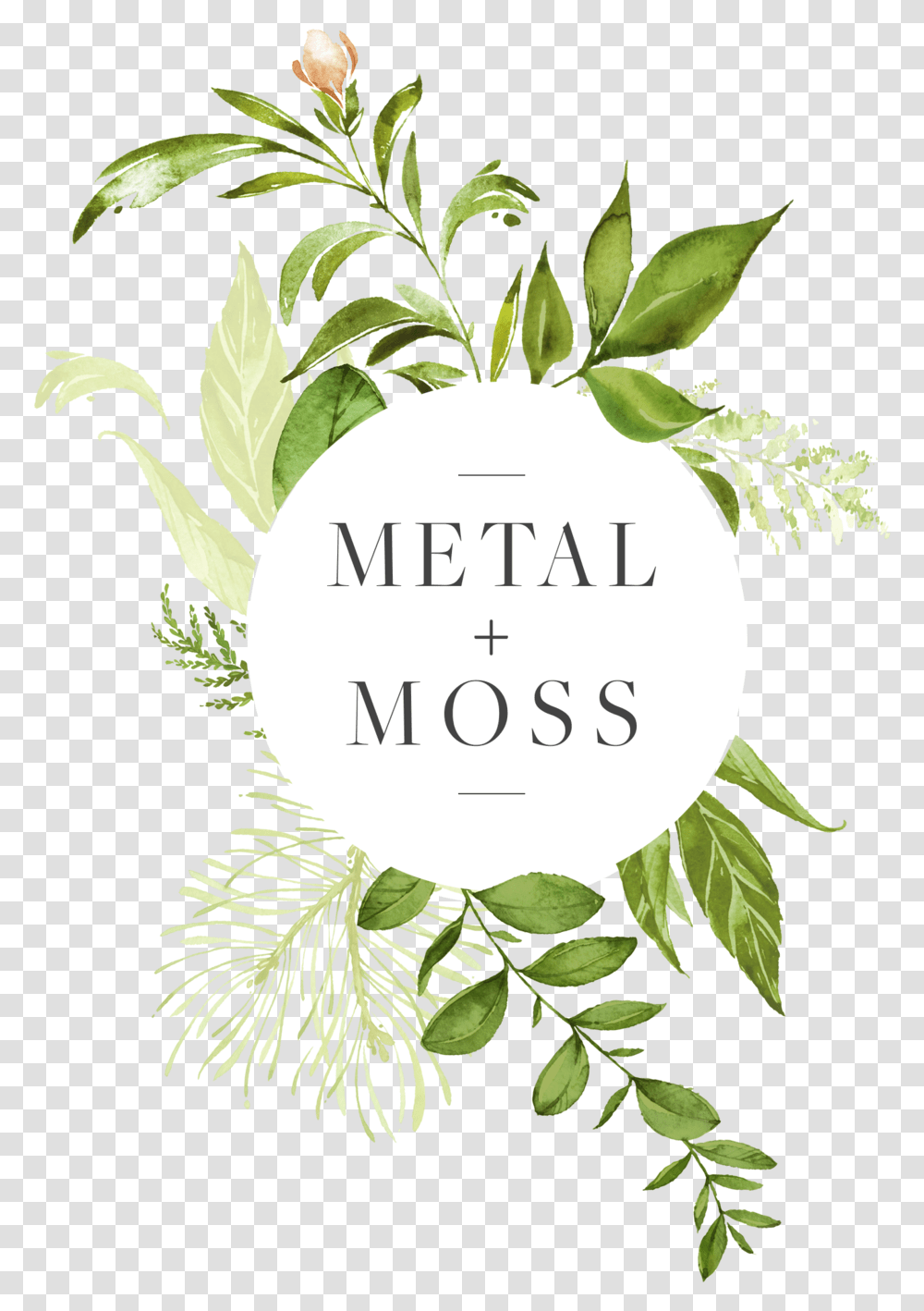 Hanging Moss Western Yew, Potted Plant, Vase, Jar, Pottery Transparent Png