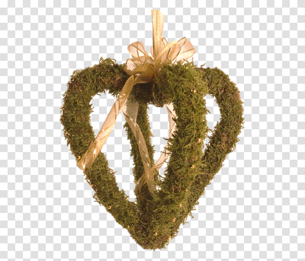 Hanging Moss Wreath, Plant, Pollen, Fungus, Mineral Transparent Png