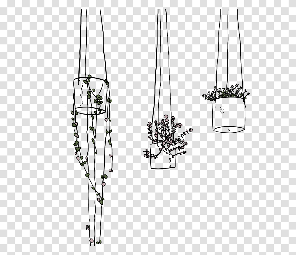 Hanging Plants Line Drawing Hanging Plants Line Art, Light, Invertebrate, Animal, Insect Transparent Png