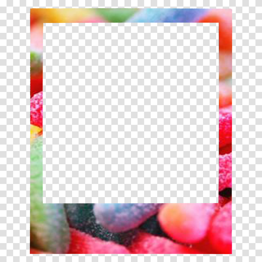 Hanging Polaroid Frame Portable Network Graphics, Plant, Sweets, Food, Confectionery Transparent Png