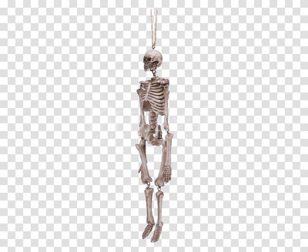 Hanging Skeleton Statue Skeleton Transparent Png