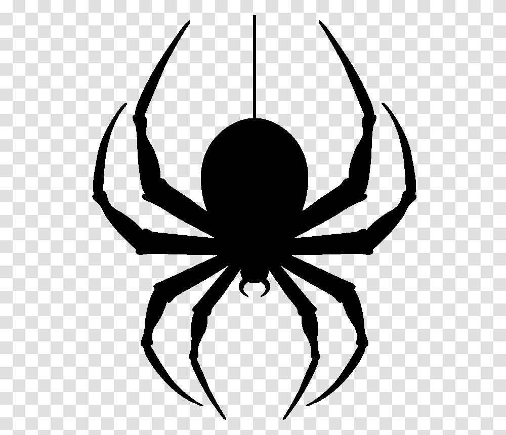 Hanging Spider Image, Bow, Stencil, Animal, Invertebrate Transparent Png