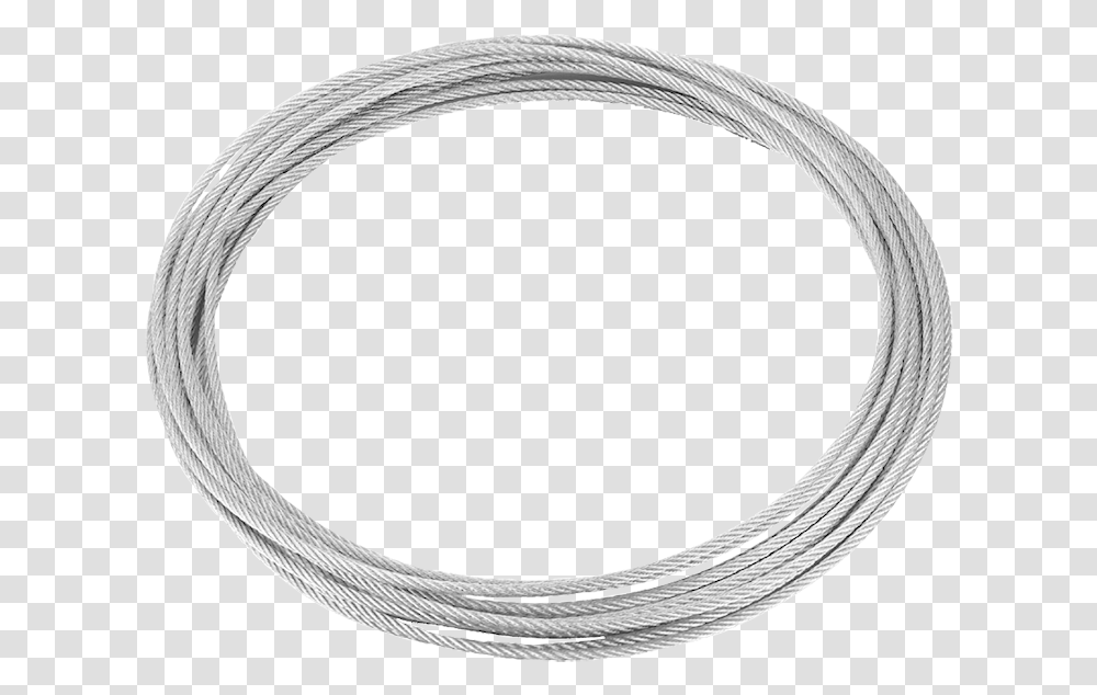Hanging String, Wire, Snake, Reptile, Animal Transparent Png