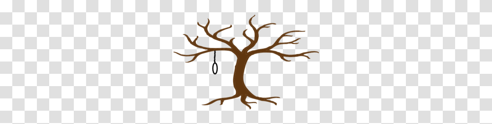 Hanging Tree Clip Art, Plant, Antler, Poster, Advertisement Transparent Png