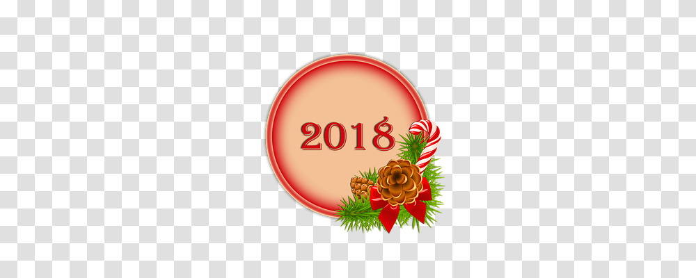 Happy 2018 Emotion, Tree, Plant, Conifer Transparent Png