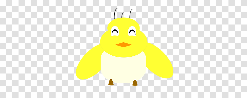 Happy Animal, Penguin, Bird, Toy Transparent Png