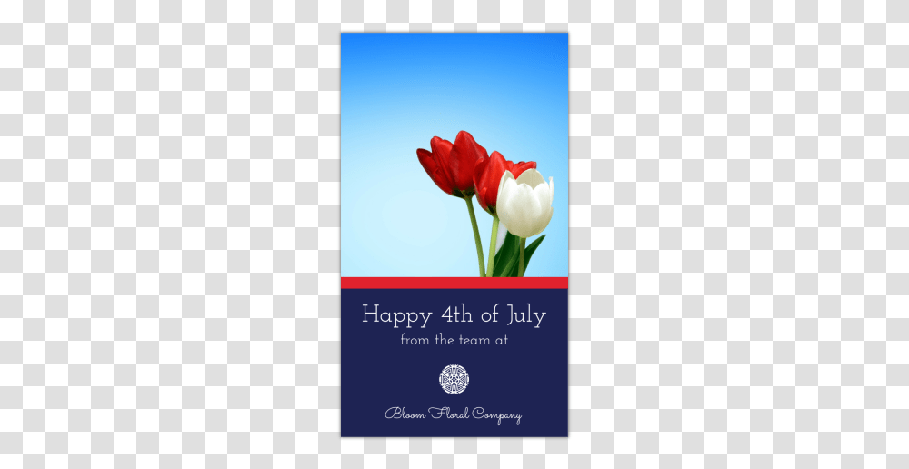 Happy 4th Of July Instagram Story Template Preview Sprenger's Tulip, Advertisement, Poster, Plant, Flower Transparent Png