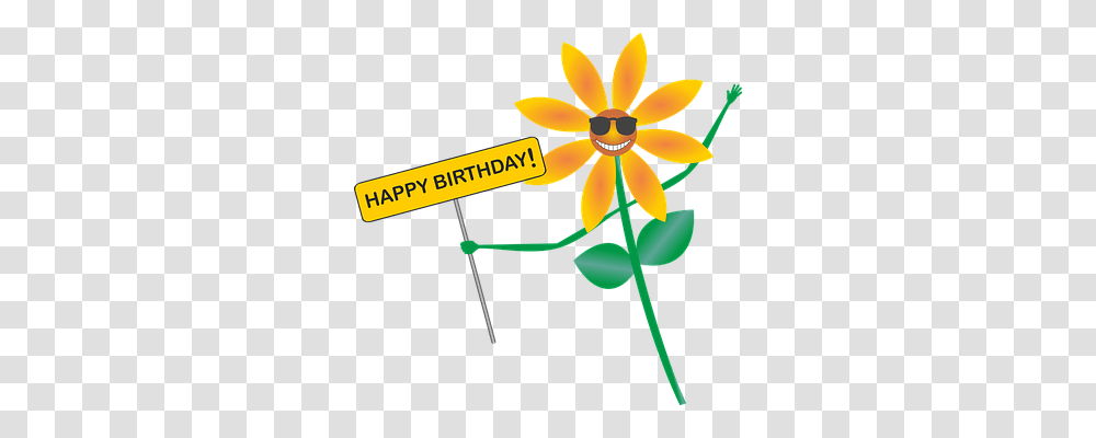 Happy Birthday Emotion, Plant, Flower, Blossom Transparent Png