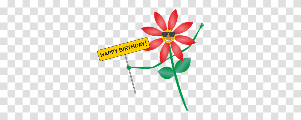 Happy Birthday Emotion, Plant, Flower, Anther Transparent Png