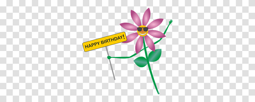 Happy Birthday Emotion, Plant, Flower, Petal Transparent Png