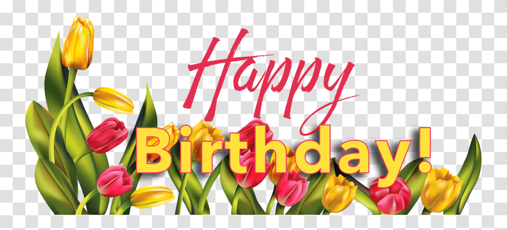 Happy Birthday First Lady, Alphabet, Word, Plant Transparent Png