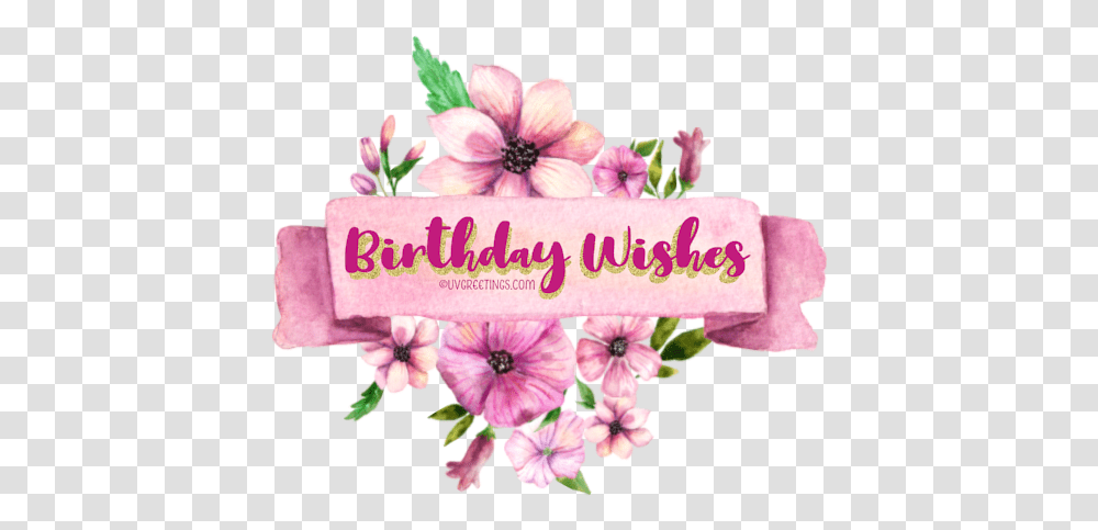 Happy Birthday Floral Stickers Perfect For Whatsapp Whatsapp Sticker Happy Birthday, Plant, Geranium, Flower, Birthday Cake Transparent Png