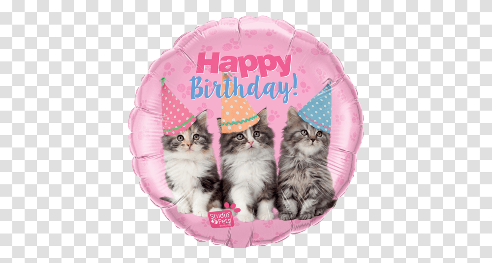 Happy Birthday Pets Foil Kittens Balloon 57623 Happy Birthday Cat And Balloons, Mammal, Animal, Angora Transparent Png