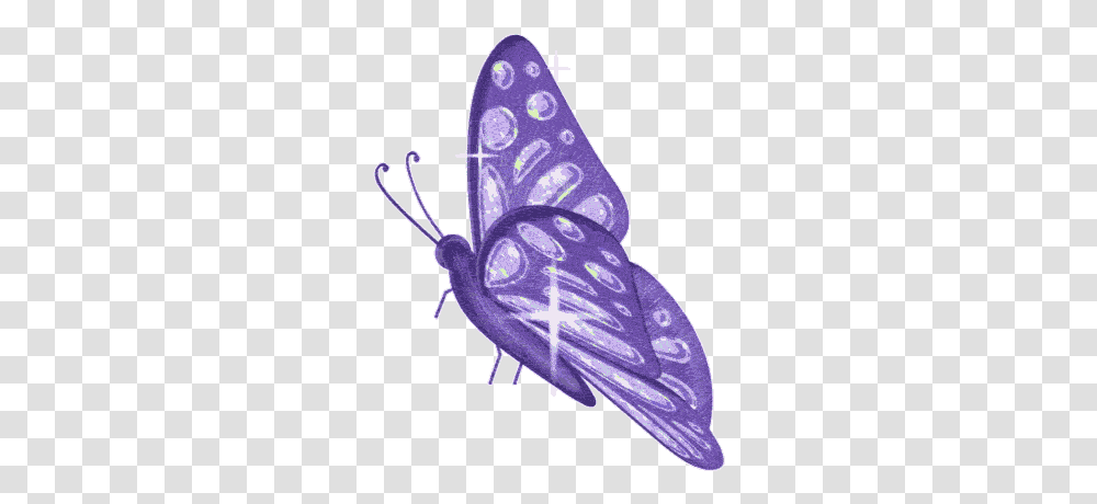 Happy Birthday To You Masuma, Invertebrate, Animal, Insect, Flower Transparent Png
