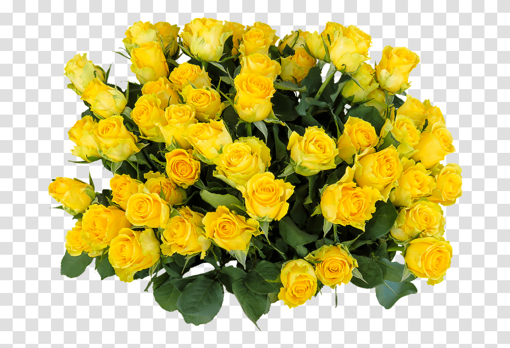 Happy Birthday Wishes In Yellow Roses, Plant, Flower, Blossom, Flower Bouquet Transparent Png