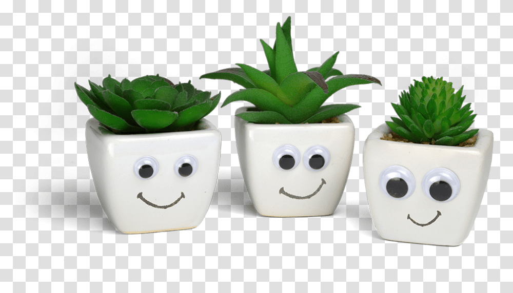 Happy Cartoon Eyes Flowerpot, Plant, Aloe, Leaf, Potted Plant Transparent Png