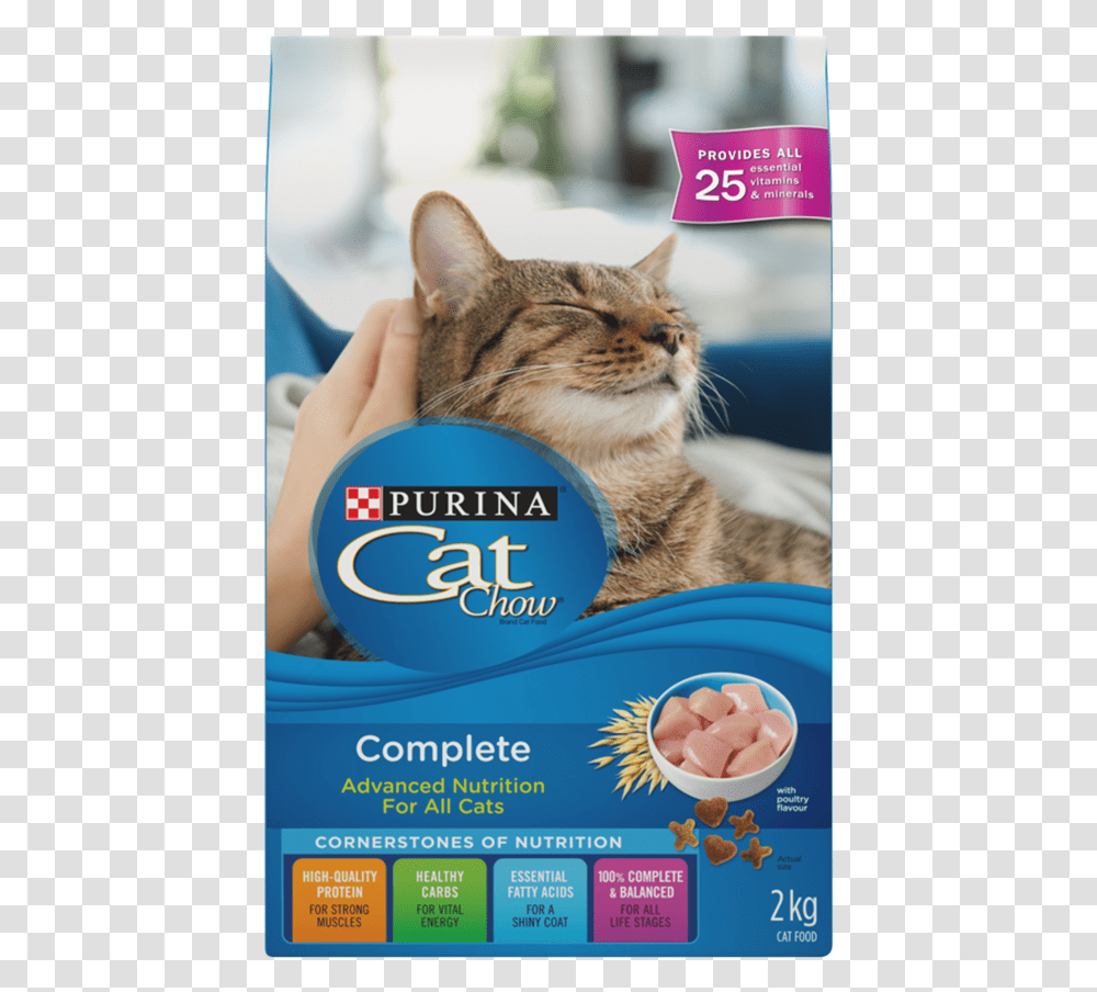 Happy Cat, Pet, Mammal, Animal, Flyer Transparent Png
