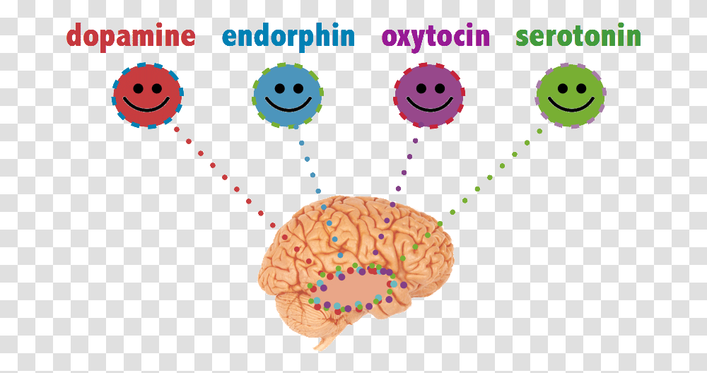 Happy Chemicals Chemical In The Brain, Plant, Flower, Fungus Transparent Png