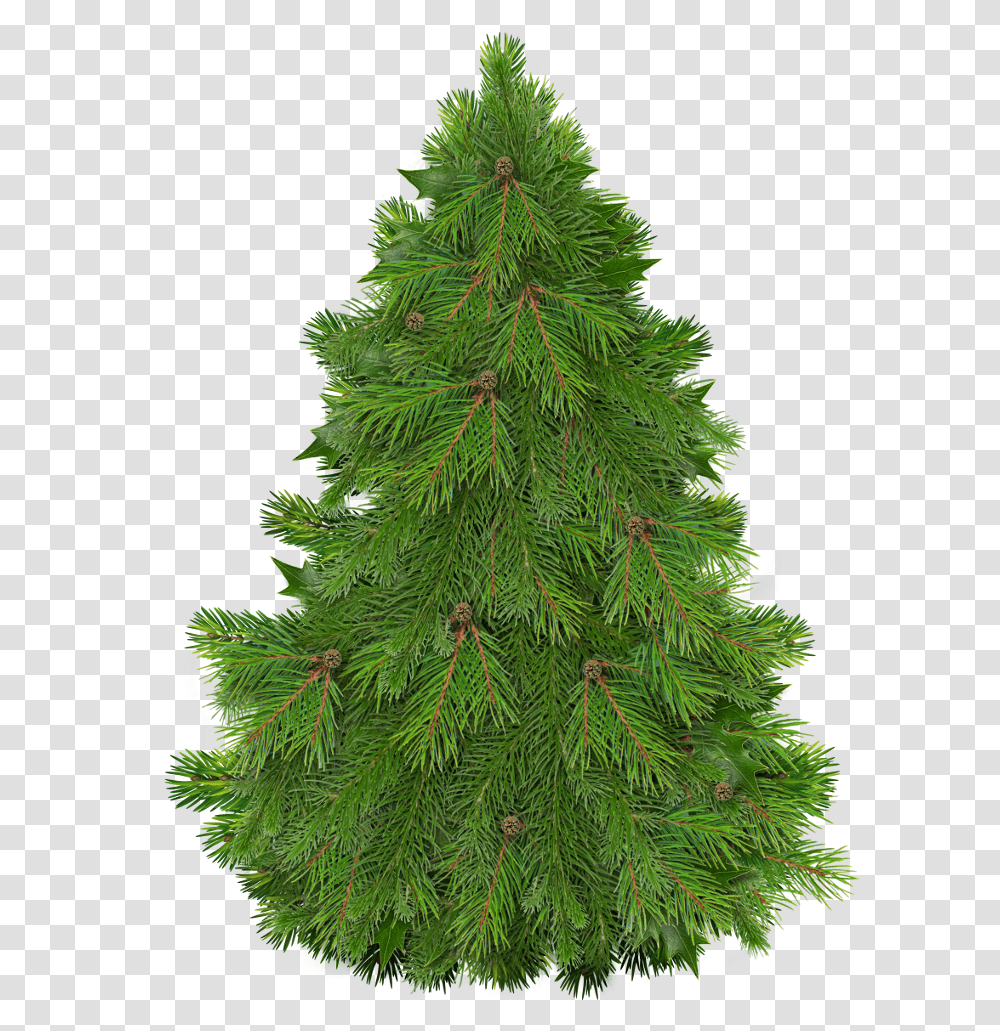 Happy Christmas Christmas Tree Clipart Christmas Trees Fir Tree, Ornament, Plant, Pine, Conifer Transparent Png