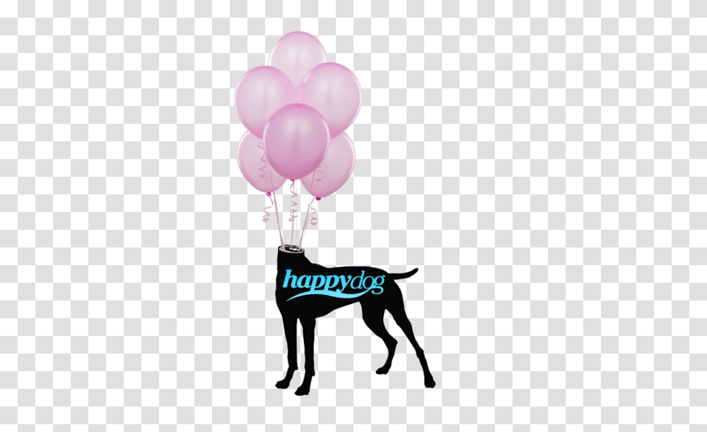 Happy Dog Gallery, Ball, Balloon Transparent Png