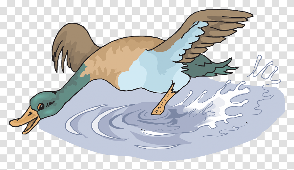 Happy Duck Splashing In Water Cartoon, Animal, Bird, Outdoors, Waterfowl Transparent Png
