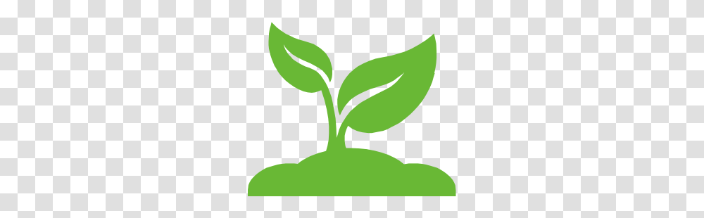 Happy Earth Day, Green, Leaf, Plant Transparent Png