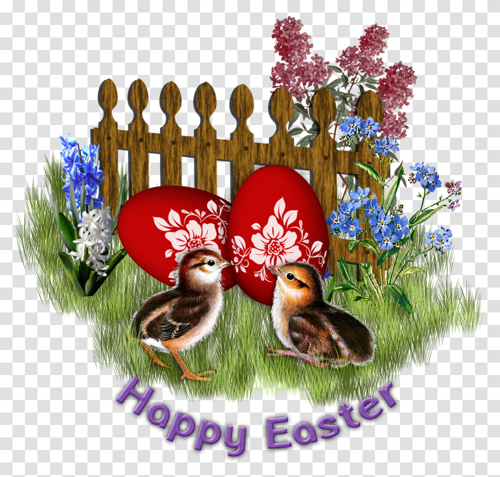 Happy Easter Pillow Kifaranga Image High Quality Turkey, Bird, Animal, Food, Chicken Transparent Png