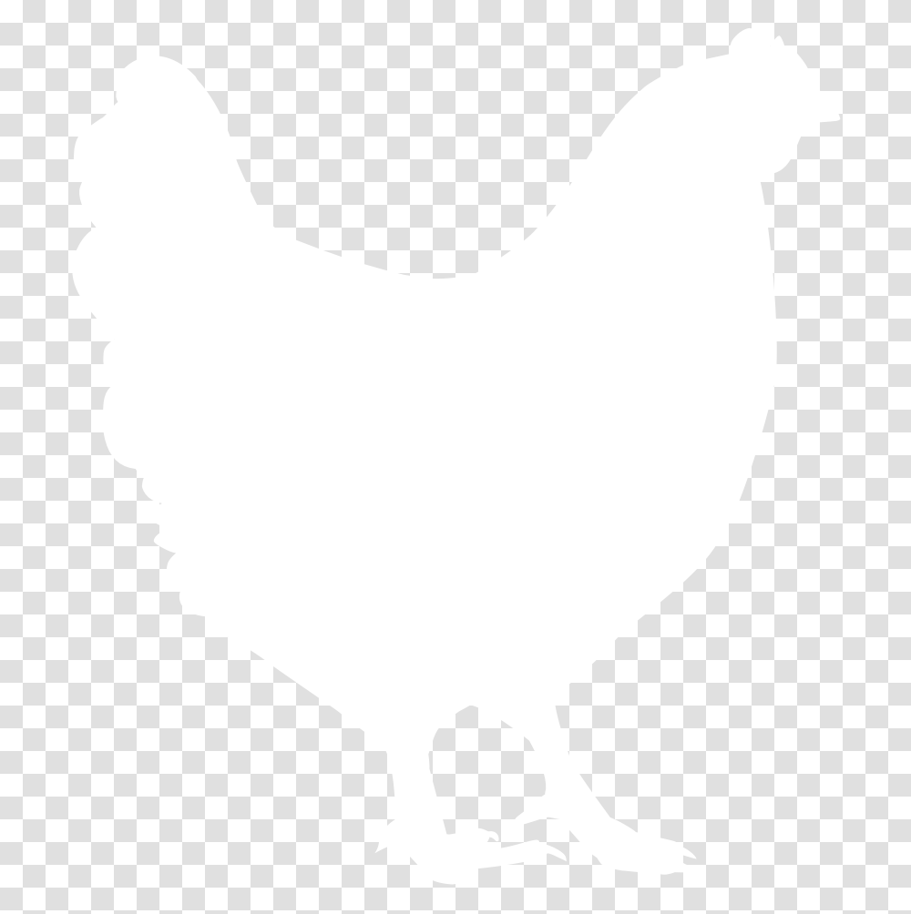 Happy Egg Co Raised With Love, Bird, Animal, Hen, Chicken Transparent Png