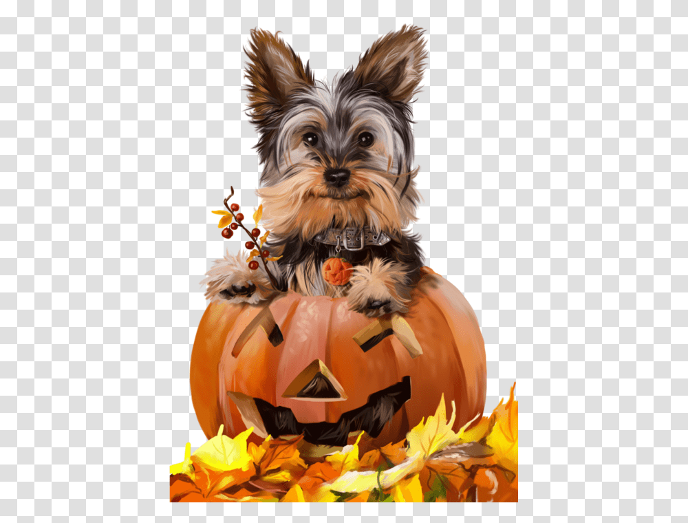 Happy Halloween With Animals, Dog, Pet, Canine, Mammal Transparent Png