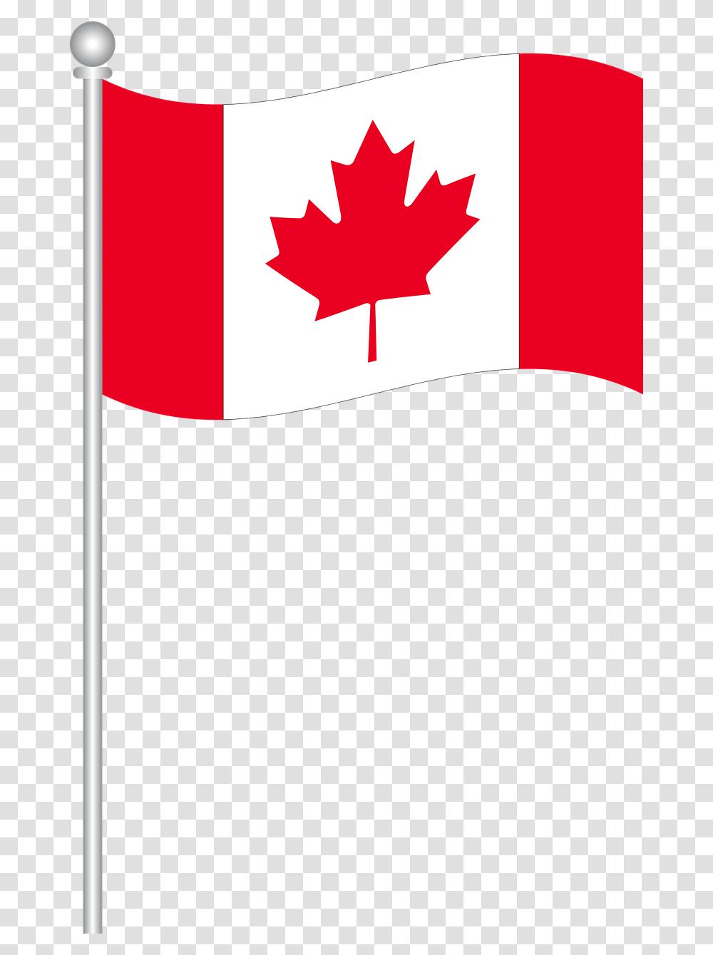 Happy Labour Day Canada, Leaf, Plant, Tree Transparent Png