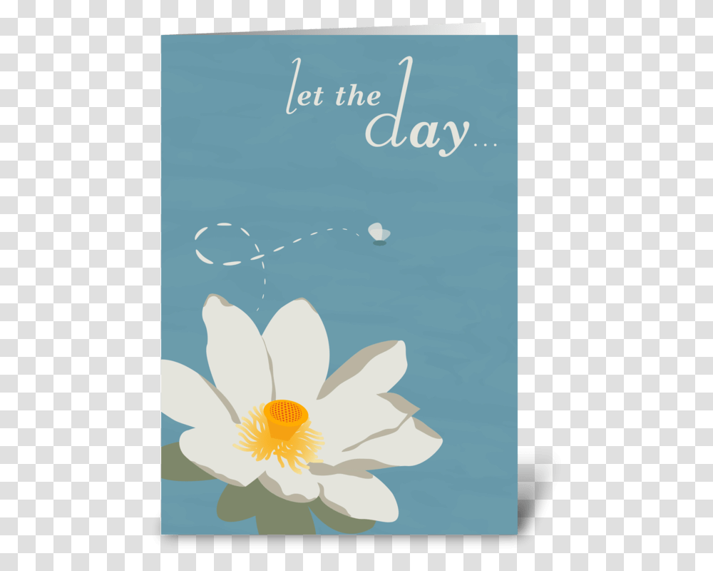 Happy Mother's Day Greeting Card Sacred Lotus, Plant, Flower, Daisy, Petal Transparent Png
