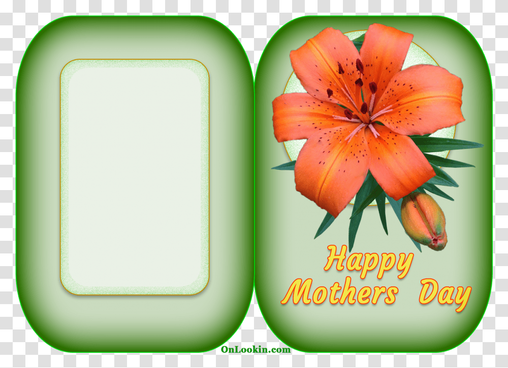 Happy Mothers Day Tiger Lily Flower A4 Card Mother's Day, Plant, Blossom, Word, Pollen Transparent Png