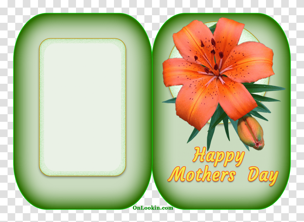 Happy Mothers Day Tiger Lily Flower Onlookin, Plant, Blossom, Anther Transparent Png