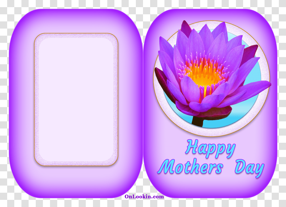 Happy Mothers Day Violet Lily Water Lily, Plant, Flower, Blossom Transparent Png