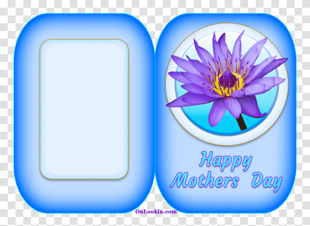 Happy Mothers Day Water Lily Flower Onlookin, Plant, Pond Lily, Blossom Transparent Png