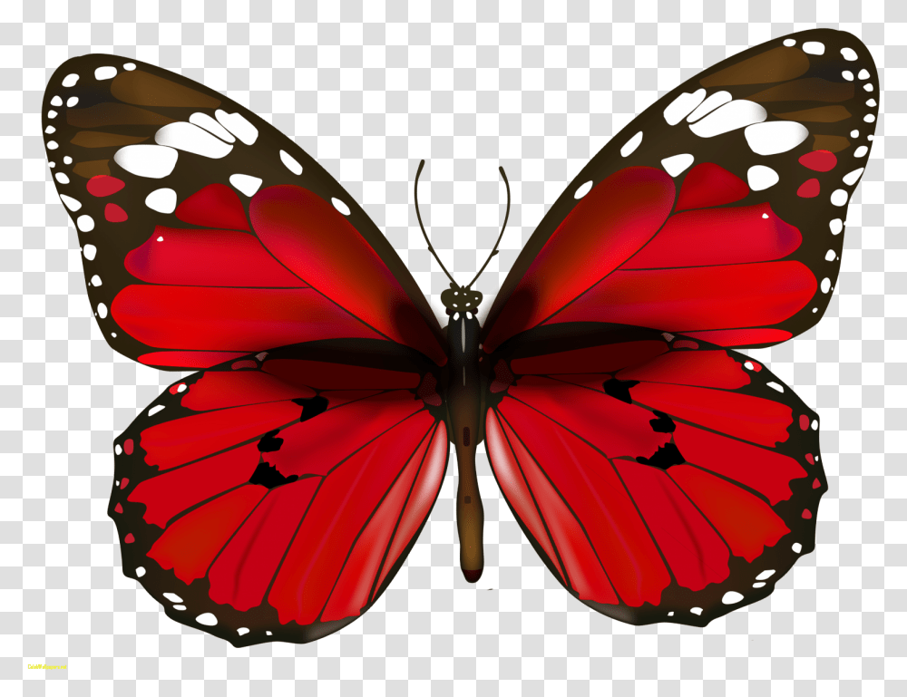 Happy New Year Butterfly, Insect, Invertebrate, Animal, Lamp Transparent Png