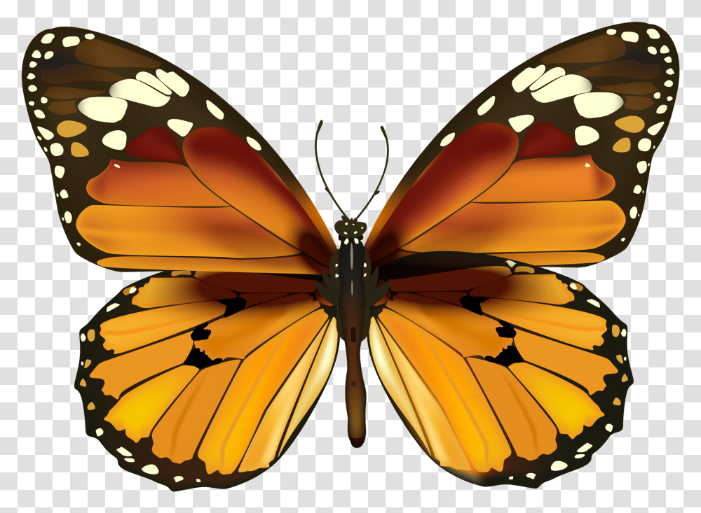 Happy New Year Butterfly, Insect, Invertebrate, Animal, Monarch Transparent Png