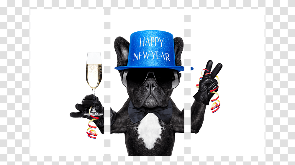 Happy New Year Dog, Sunglasses, Person, Helmet Transparent Png
