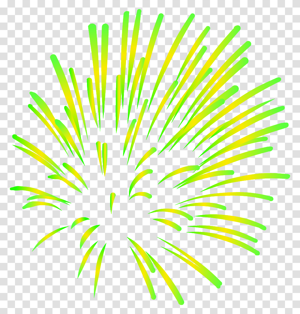Happy New Year Gallery, Plant, Nature, Outdoors, Fireworks Transparent Png