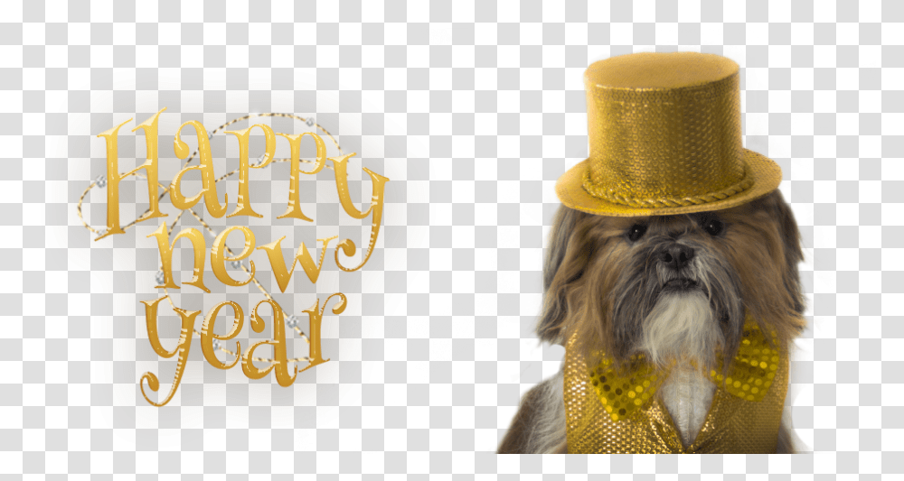 Happy New Year Shih Tzu, Hat, Person, Label Transparent Png